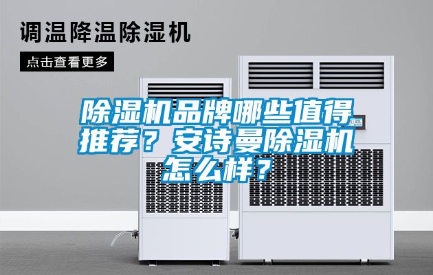 除濕機(jī)品牌哪些值得推薦？安詩曼除濕機(jī)怎么樣？