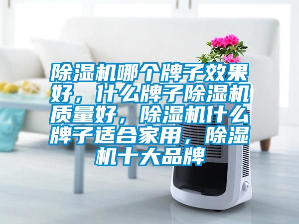 除濕機(jī)哪個(gè)牌子效果好，什么牌子除濕機(jī)質(zhì)量好，除濕機(jī)什么牌子適合家用，除濕機(jī)十大品牌