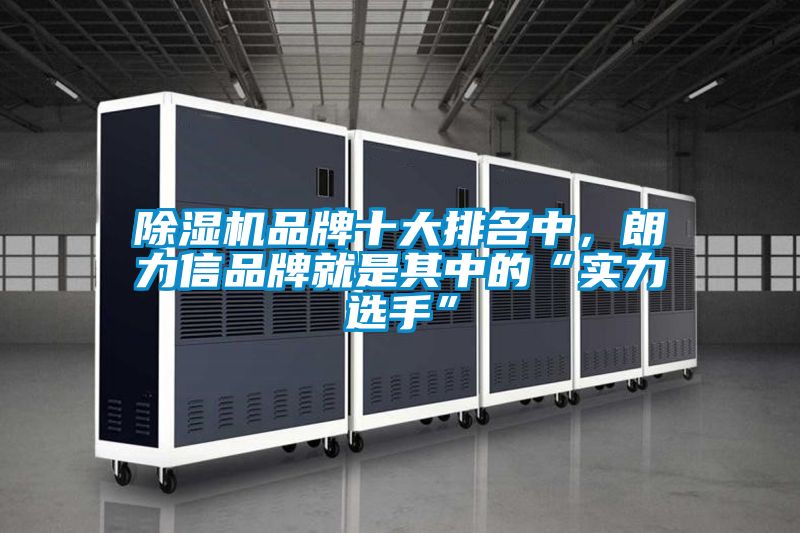 除濕機品牌十大排名中，朗力信品牌就是其中的“實力選手”