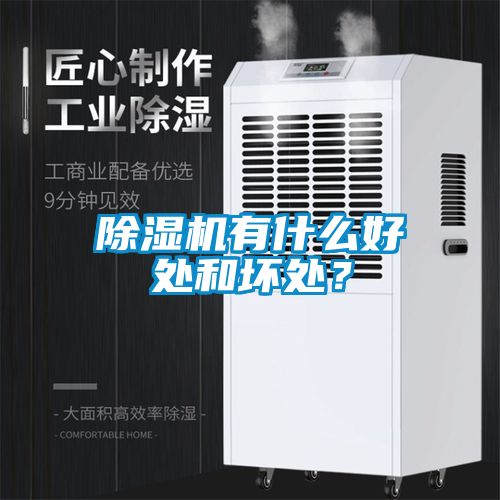 除濕機(jī)有什么好處和壞處？