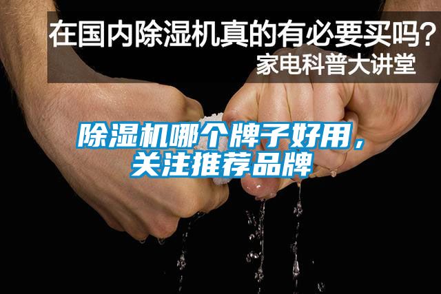 除濕機哪個牌子好用，關(guān)注推薦品牌