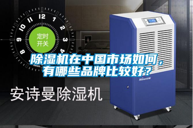 除濕機(jī)在中國市場(chǎng)如何，有哪些品牌比較好？