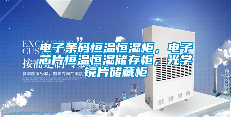 電子條碼恒溫恒濕柜，電子芯片恒溫恒濕儲存柜，光學鏡片儲藏柜