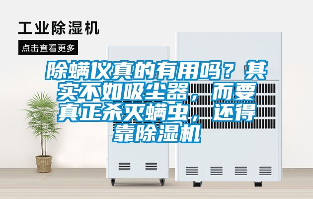 除螨儀真的有用嗎？其實(shí)不如吸塵器，而要真正殺滅螨蟲(chóng)，還得靠除濕機(jī)