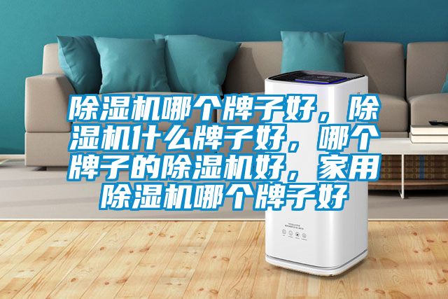 除濕機哪個牌子好，除濕機什么牌子好，哪個牌子的除濕機好，家用除濕機哪個牌子好