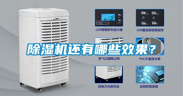 除濕機還有哪些效果？