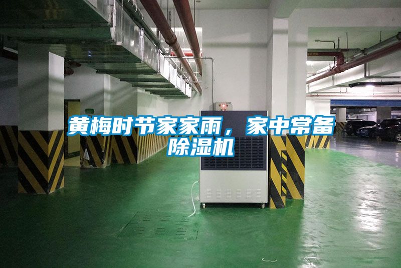 黃梅時節(jié)家家雨，家中常備除濕機