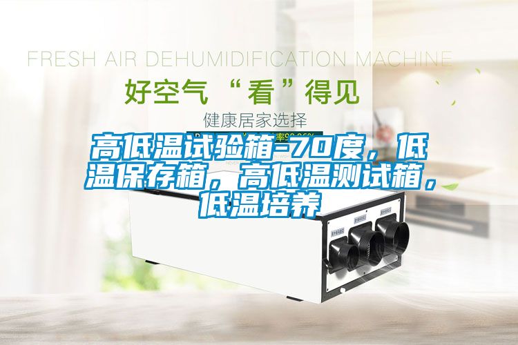 高低溫試驗箱-70度，低溫保存箱，高低溫測試箱，低溫培養(yǎng)