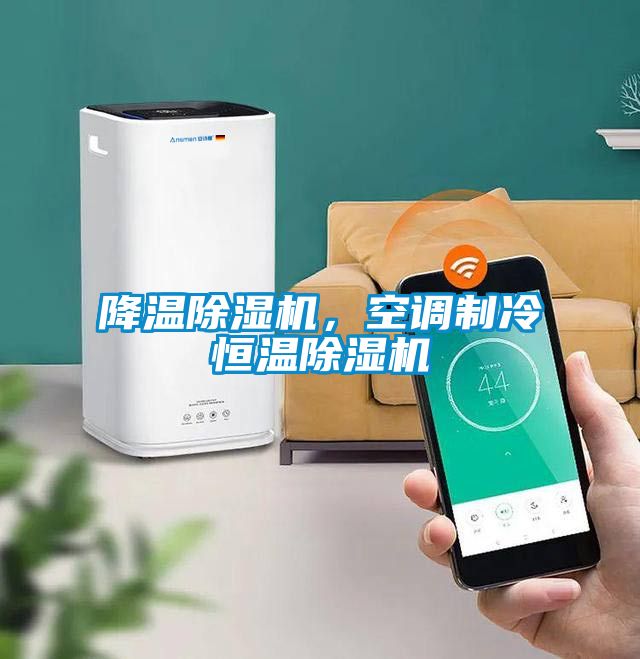 降溫除濕機(jī)，空調(diào)制冷恒溫除濕機(jī)