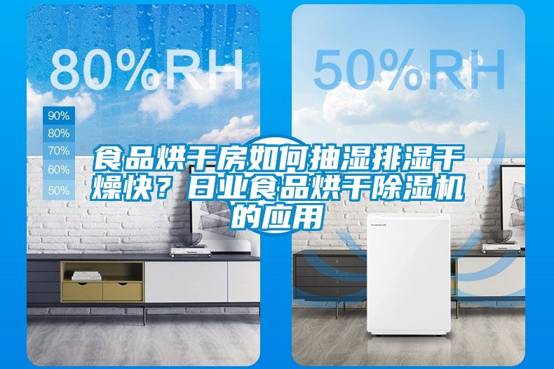 食品烘干房如何抽濕排濕干燥快？日業(yè)食品烘干除濕機(jī)的應(yīng)用