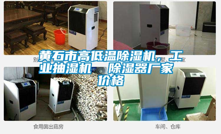 黃石市高低溫除濕機，工業(yè)抽濕機  除濕器廠家 價格