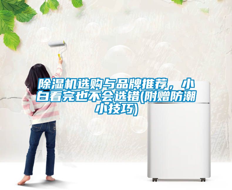 除濕機選購與品牌推薦，小白看完也不會選錯(附贈防潮小技巧)