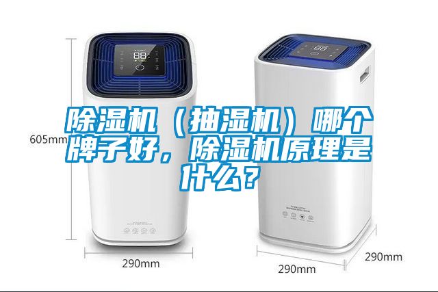 除濕機（抽濕機）哪個牌子好，除濕機原理是什么？