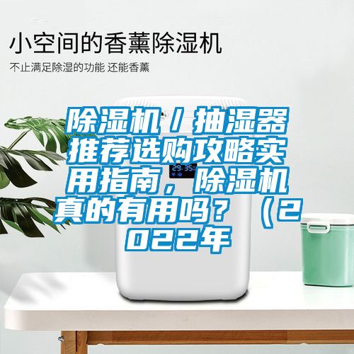 除濕機／抽濕器推薦選購攻略實用指南，除濕機真的有用嗎？（2022年
