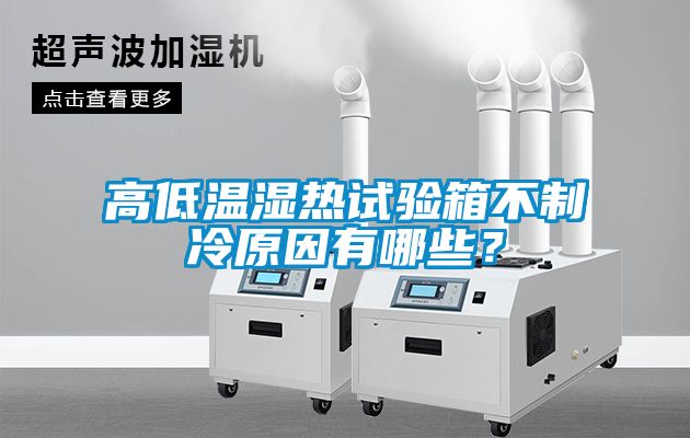 高低溫濕熱試驗(yàn)箱不制冷原因有哪些？