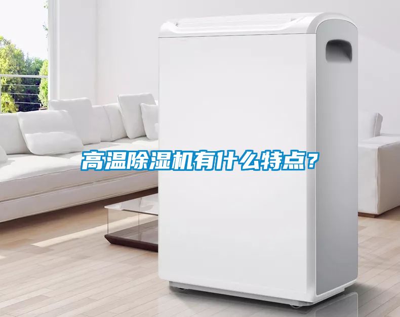 高溫除濕機(jī)有什么特點(diǎn)？
