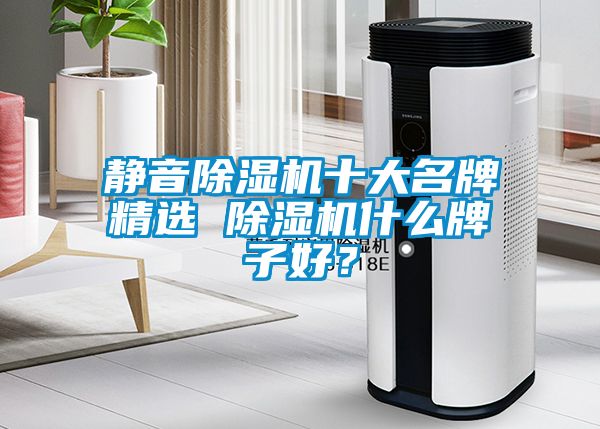 靜音除濕機(jī)十大名牌精選 除濕機(jī)什么牌子好？