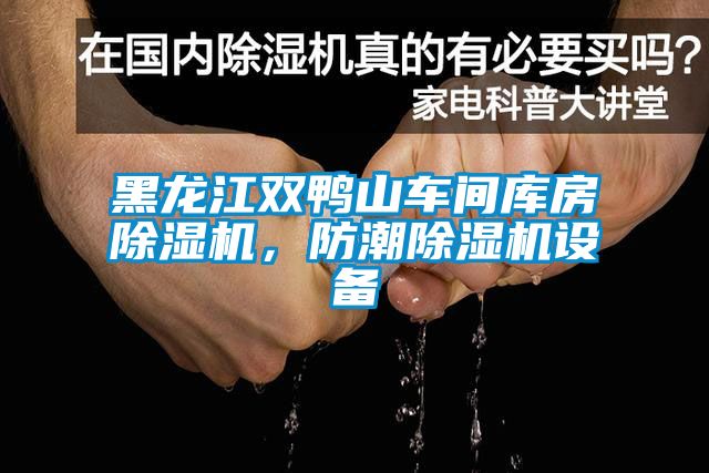 黑龍江雙鴨山車間庫房除濕機，防潮除濕機設(shè)備