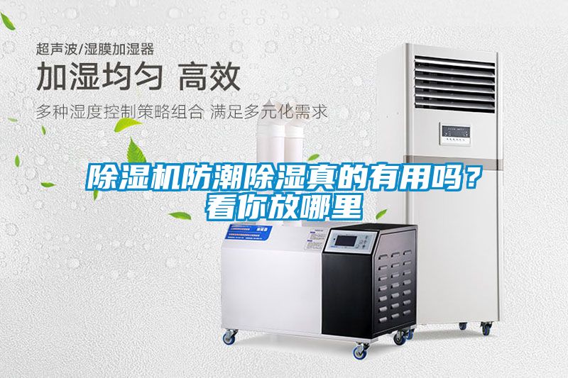 除濕機(jī)防潮除濕真的有用嗎？看你放哪里