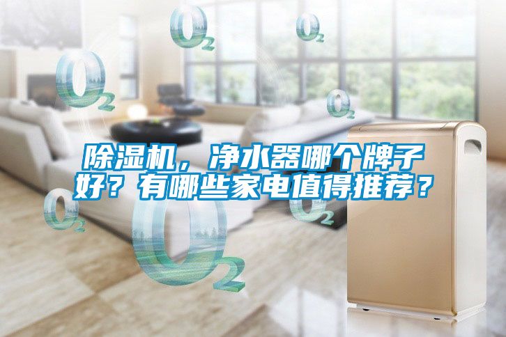 除濕機(jī)，凈水器哪個(gè)牌子好？有哪些家電值得推薦？