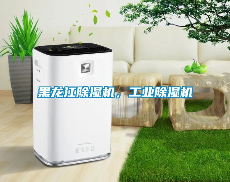 黑龍江除濕機(jī)，工業(yè)除濕機(jī)
