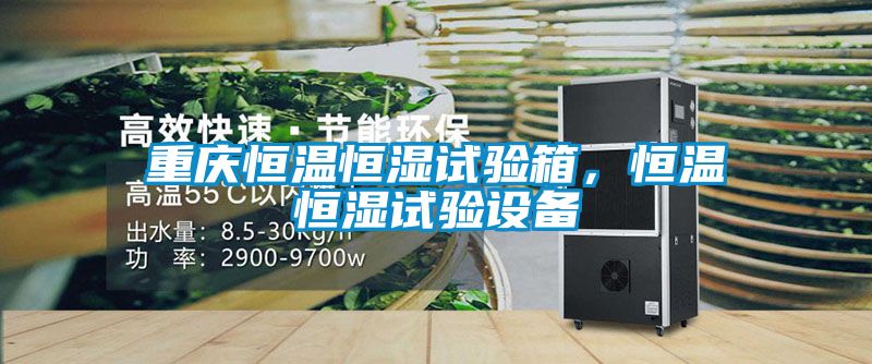 重慶恒溫恒濕試驗箱，恒溫恒濕試驗設(shè)備