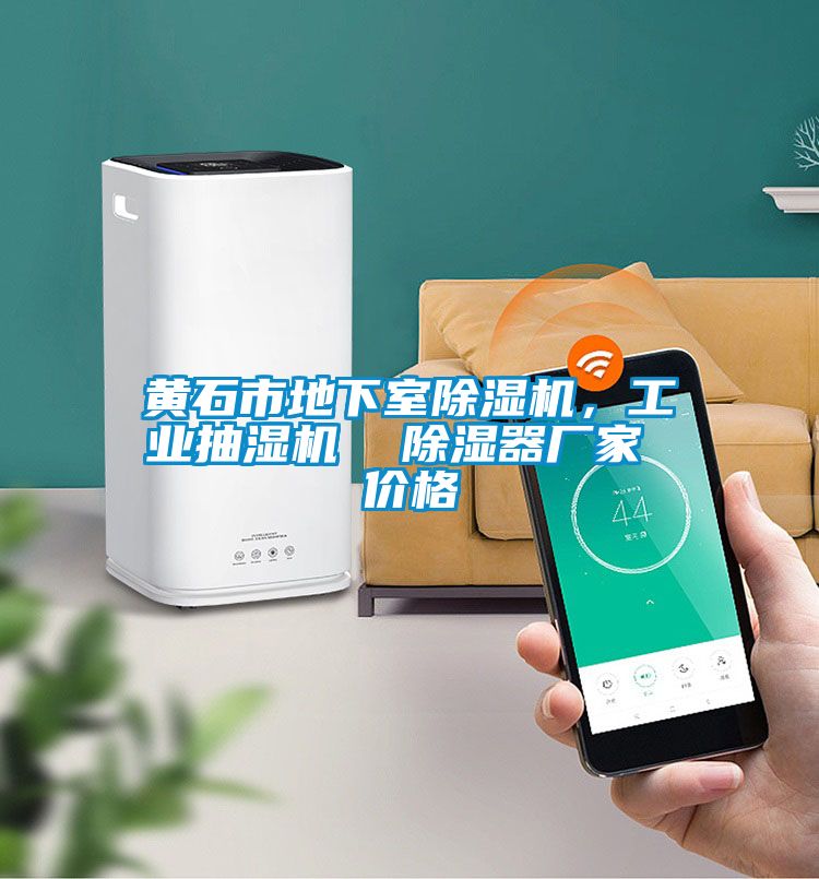 黃石市地下室除濕機(jī)，工業(yè)抽濕機(jī)  除濕器廠家 價格