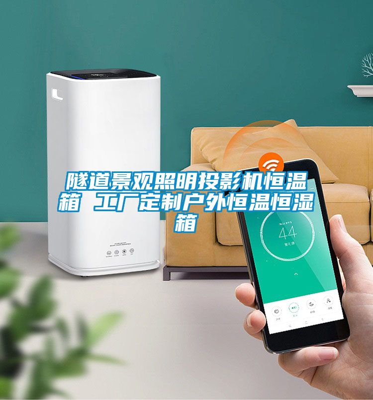 隧道景觀(guān)照明投影機(jī)恒溫箱 工廠(chǎng)定制戶(hù)外恒溫恒濕箱