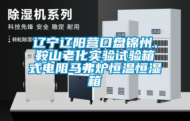 遼寧遼陽營口盤錦州、鞍山老化實驗試驗箱式電阻馬弗爐恒溫恒濕箱