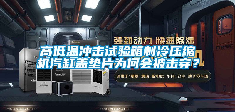 高低溫沖擊試驗(yàn)箱制冷壓縮機(jī)汽缸蓋墊片為何會(huì)被擊穿？