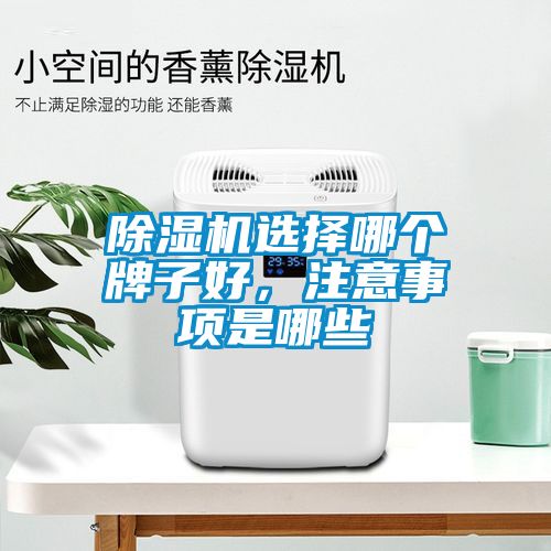 除濕機(jī)選擇哪個(gè)牌子好，注意事項(xiàng)是哪些