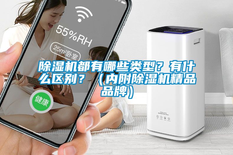 除濕機都有哪些類型？有什么區(qū)別？（內附除濕機精品品牌）