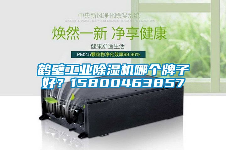 鶴壁工業(yè)除濕機(jī)哪個牌子好？15800463857