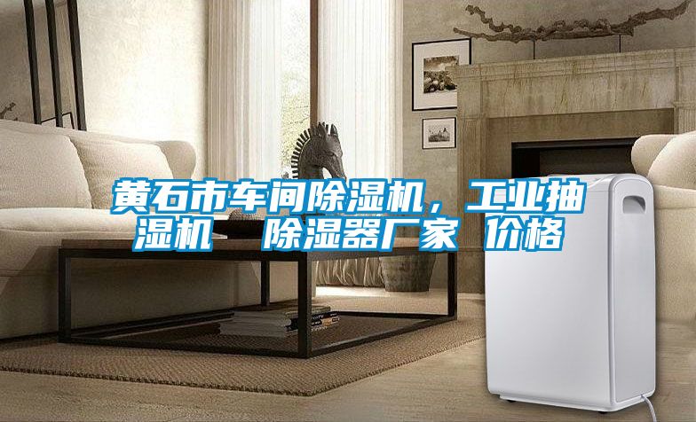 黃石市車間除濕機，工業(yè)抽濕機  除濕器廠家 價格