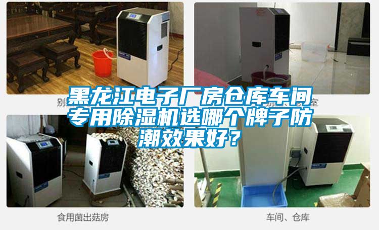 黑龍江電子廠房倉庫車間專用除濕機選哪個牌子防潮效果好？