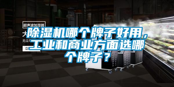 除濕機哪個牌子好用，工業(yè)和商業(yè)方面選哪個牌子？