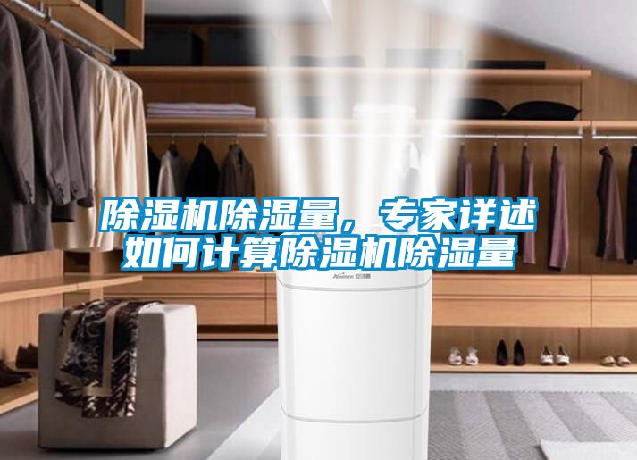除濕機除濕量，專家詳述如何計算除濕機除濕量