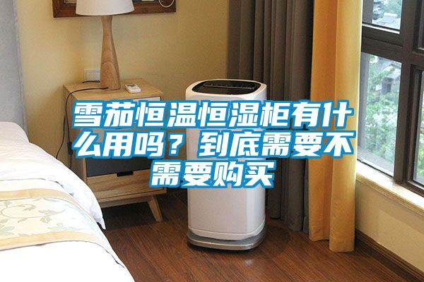 雪茄恒溫恒濕柜有什么用嗎？到底需要不需要購買