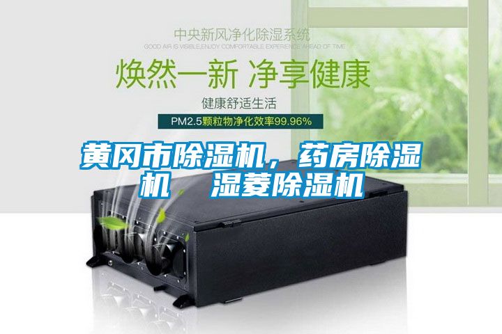 黃岡市除濕機，藥房除濕機  濕菱除濕機