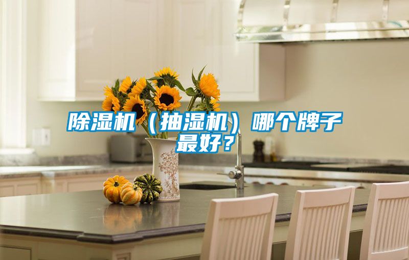 除濕機（抽濕機）哪個牌子最好？