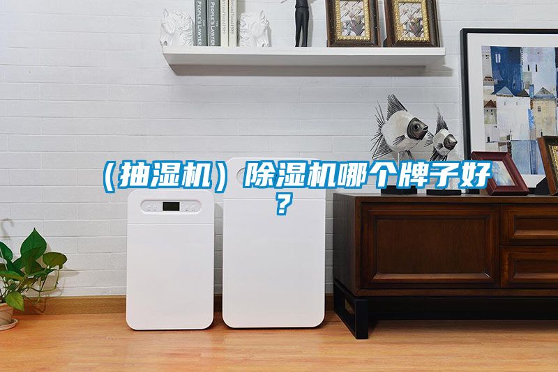 （抽濕機）除濕機哪個牌子好？
