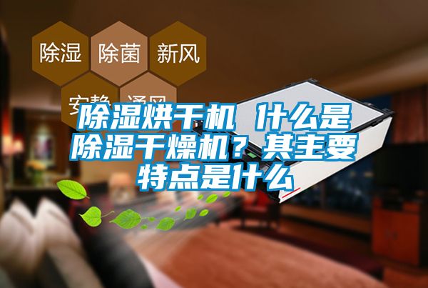 除濕烘干機 什么是除濕干燥機？其主要特點是什么