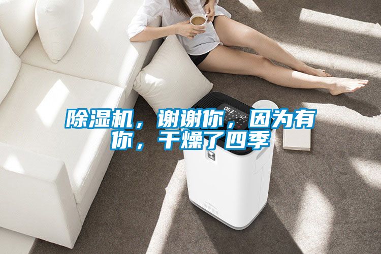 除濕機(jī)，謝謝你，因?yàn)橛心?，干燥了四?></div>
								<div   id=