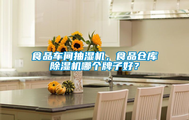食品車間抽濕機(jī)，食品倉庫除濕機(jī)哪個牌子好？