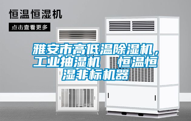 雅安市高低溫除濕機(jī)，工業(yè)抽濕機(jī)  恒溫恒濕非標(biāo)機(jī)器