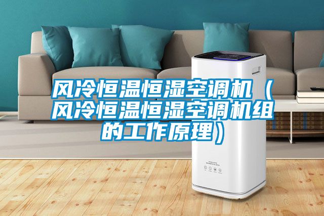 風(fēng)冷恒溫恒濕空調(diào)機（風(fēng)冷恒溫恒濕空調(diào)機組的工作原理）