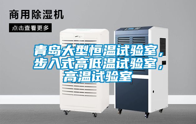 青島大型恒溫試驗室，步入式高低溫試驗室，高溫試驗室