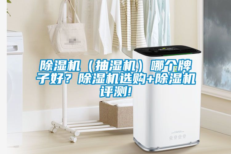 除濕機（抽濕機）哪個牌子好？除濕機選購+除濕機評測!
