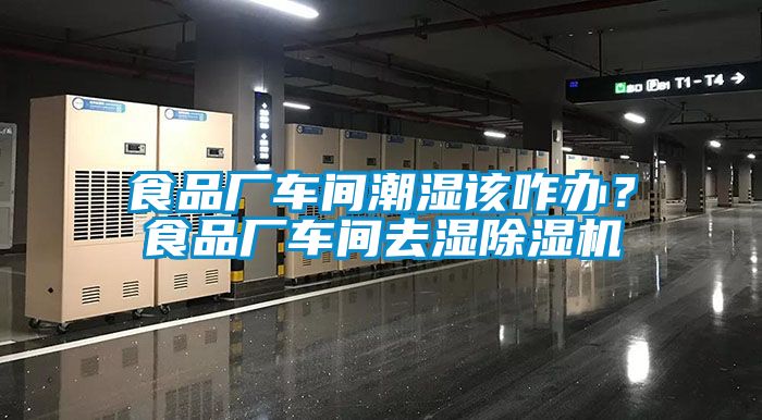 食品廠車間潮濕該咋辦？食品廠車間去濕除濕機(jī)