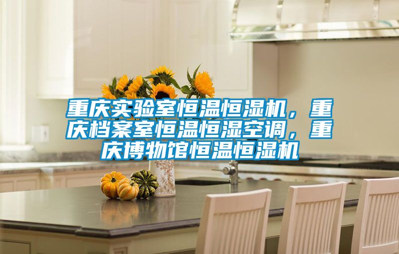 重慶實驗室恒溫恒濕機(jī)，重慶檔案室恒溫恒濕空調(diào)，重慶博物館恒溫恒濕機(jī)